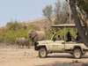 Mowani Mountain Camp - Game Drive 